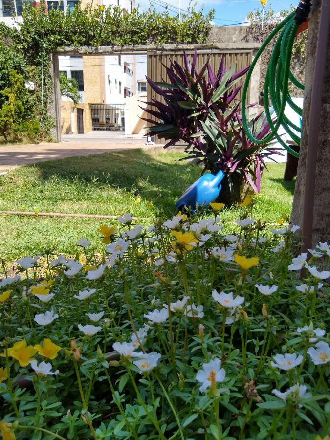 Hostel Consciente Аракажу Экстерьер фото